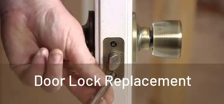  Door Lock Replacement 